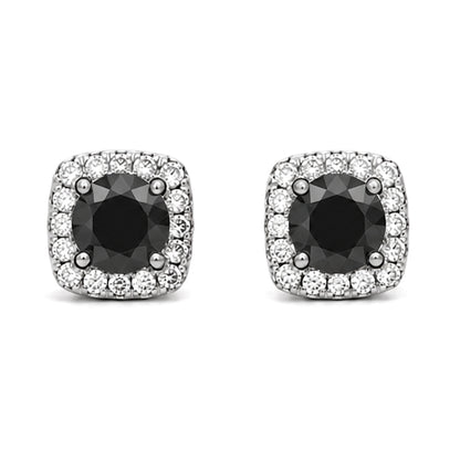 ES-20053 | Fancy Color 1CT Stud Earrings | White Gold Plated